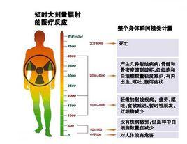 毫西弗