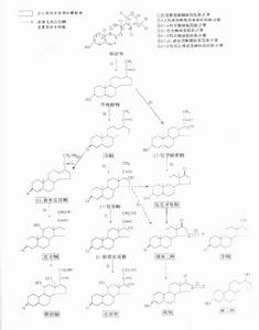 類固醇激素