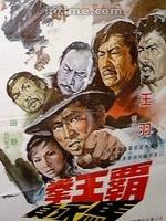 霸王拳[1972年丁善璽執導電影]