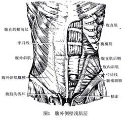 半月線疝