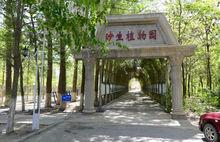 魅力沙漠公園