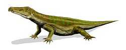 加斯馬吐龍（屬名：Chasmatosaurus ）又名古鱷（Proterosuchus），是種大型主龍形類動物，身長約4米，生存於三疊紀早期的中國與南部非洲。 袁氏加斯馬吐龍（C. yuani），生存於早三疊紀的中國加斯馬吐龍是著名的早期主龍形類之一，外形類似現代鱷魚，可能是現代鱷魚的遠祖。加斯馬吐龍可能以伏擊方式攻擊水邊獵物。它們的上頜前端往下彎曲，齶骨有牙齒，這是種原始的特徵，較晚的主龍類失去這個原始特徵。  大眾文化在電視節目《與巨獸共舞》中，一隻加斯馬吐龍攻擊一群水龍獸。