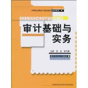 《審計基礎與實務（21世紀高職高專經管類系列規劃教材.第二批）》