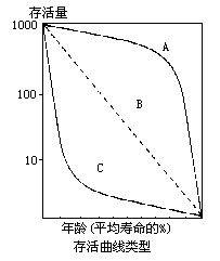 存活曲線