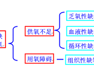 循環性缺氧