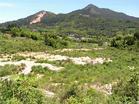 壽山村[福建省寧德市屏南縣下轄村]