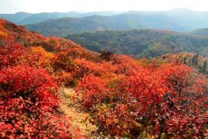 陝西香山