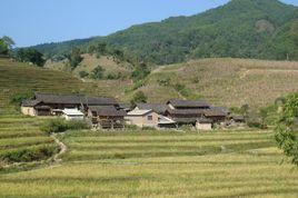 忙東村[雲南省臨滄市臨翔區邦東鄉忙東村]