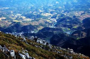 寺口村[湖北省通山縣楊芳林鄉寺口村]