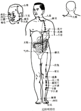 人迎穴所在經絡穴位示意