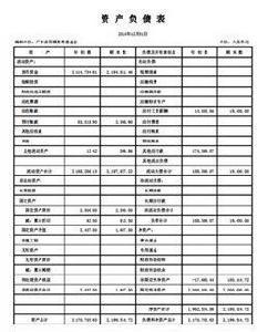 資產負債表附表