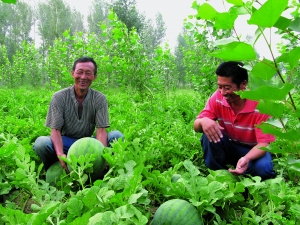 東明鎮