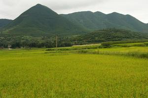 小海嘎村