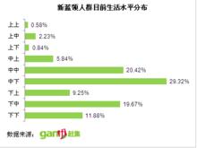 新藍領目前生活水平分布