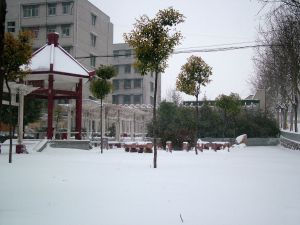 （圖）雪中校園