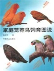 家庭籠養鳥飼育圖說