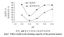 南瓜蛋白