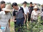 蛟湖村[廣東省深汕特別合作區鵝埠鎮下轄村]