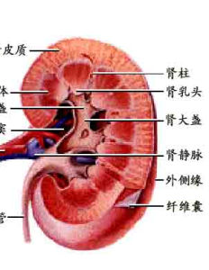 腎炎綜合徵