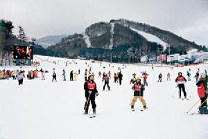 龍平滑雪場