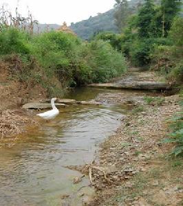 青山綠水