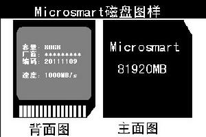 Microsmart磁碟圖樣