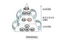 ERG理論模型