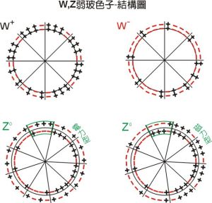 W+, W-, Z0弱玻色子結構模型圖