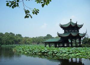 桂湖公園風光照