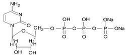 三磷酸胞苷二鈉注射液