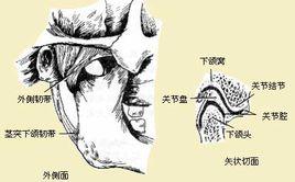 顳下頜間攣縮