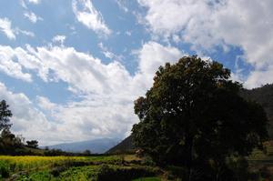 茨竹坪村[雲南省保山市隆陽區瓦窯鎮下轄村]