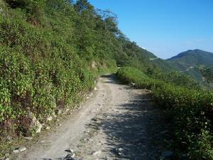 雲南省鳳慶縣新華彝族苗族鄉白臘村進村道路