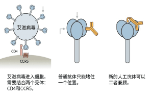 愛滋病疫苗