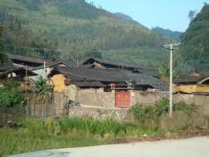 大松樹村[雲南會澤縣上村鄉下轄村]