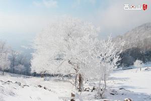 西土山.冬雪白