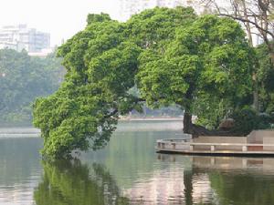 東山湖公園