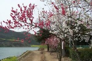 歙縣雄村景區