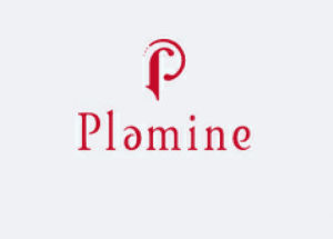 Plamine