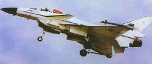 以色列幼獅式戰鬥機