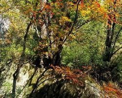 木王山國家森林公園