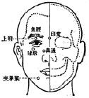 球後穴