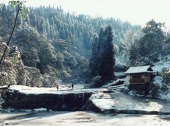 天台山國家森林公園