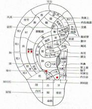 耳部治療圖