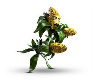 玉米粒 （Kernel Corn）