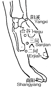 （圖）商陽穴