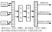 動作技能