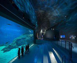 丹麥水族館