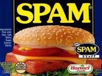 SPAM[斯帕姆午餐肉]