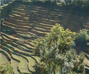 高山自然村